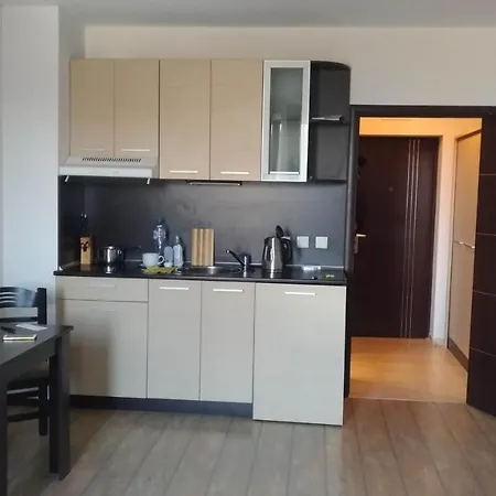 Alpine Lodge, Bansko, Studio 4 Personne, 公寓 *