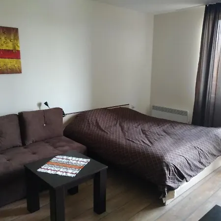 Alpine Lodge, Bansko, Studio 4 Personne, בנסקו